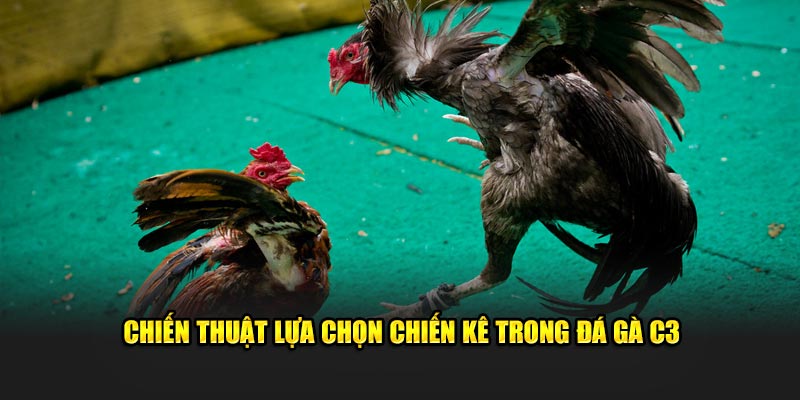 Chiến thuật lựa chọn chọi kê trong đá gà C3